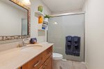 Newly remodeled bathroom with walk-in shower